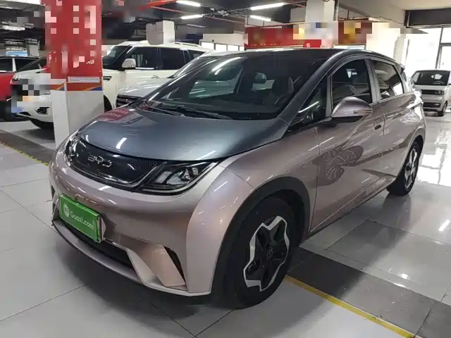 2021 BYD Dolphin