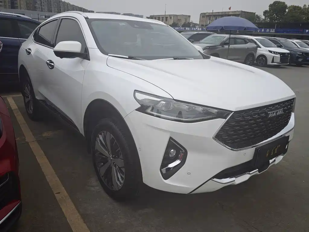 HAVAL F7X