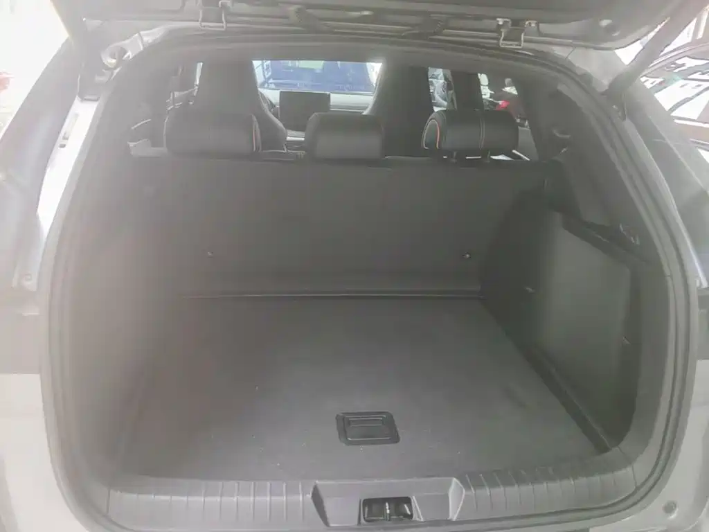BYD PLUS New Energy — миниатюра 19