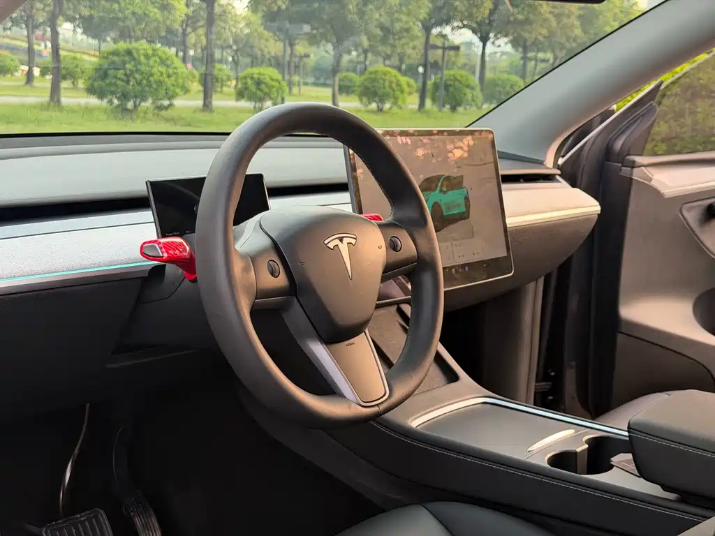 Tesla Model Y — миниатюра 5