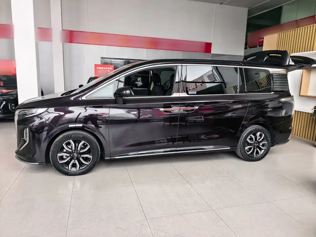 Hongqi Hongqi HQ9 — миниатюра 8