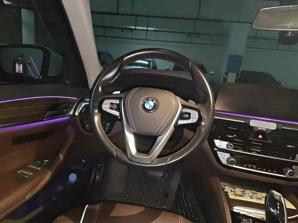 BMW 5 Series 5 2019 530Li Lead Luxury