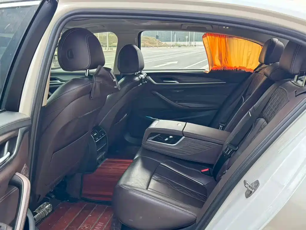 BMW 5 Series 5 2019 530Li Lead Luxury