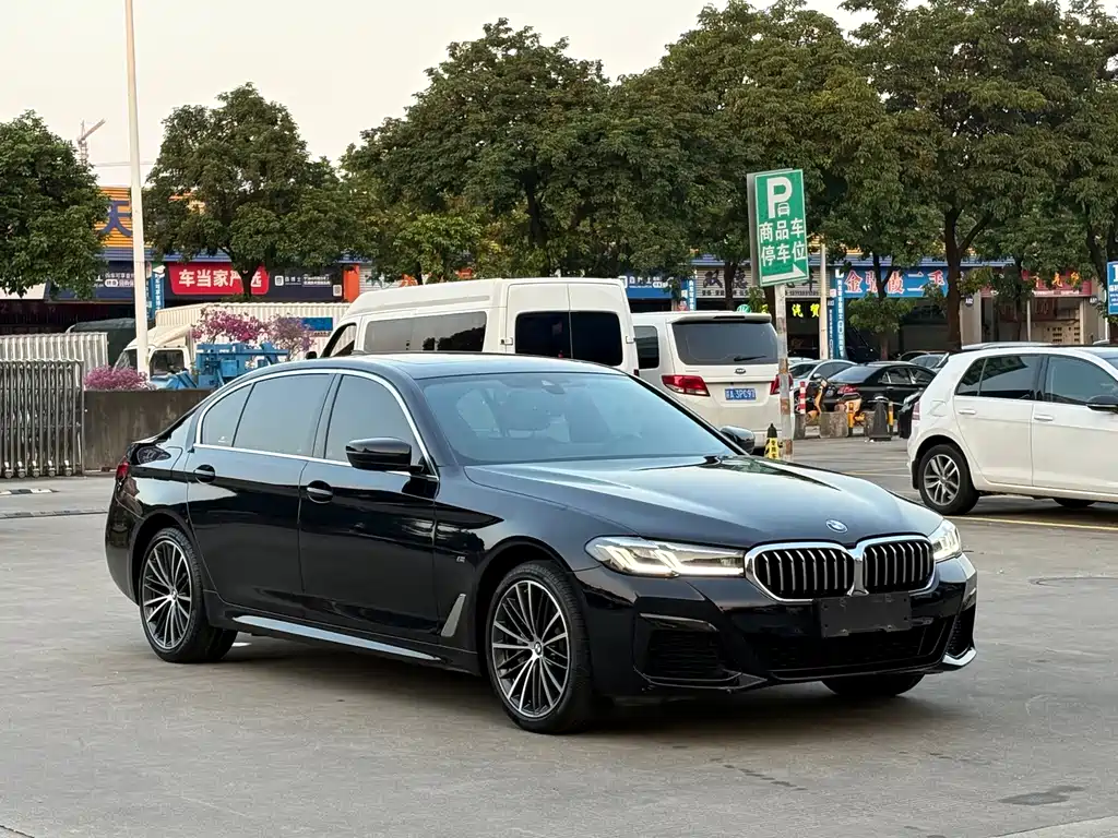 BMW 5 Series — миниатюра 3