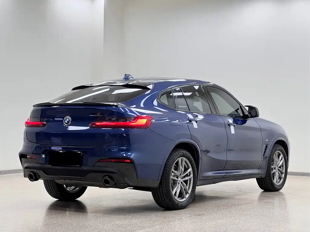 BMW X4 — миниатюра 6