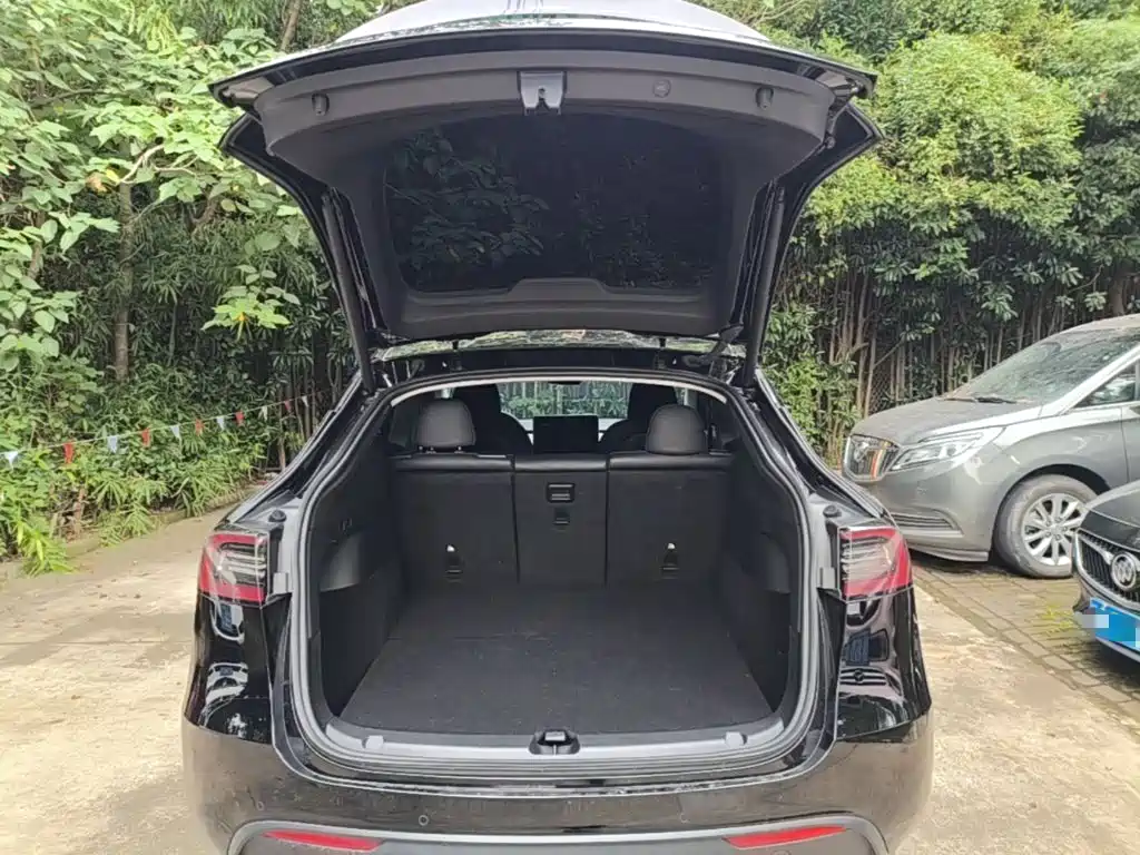 Tesla Model Y — миниатюра 19