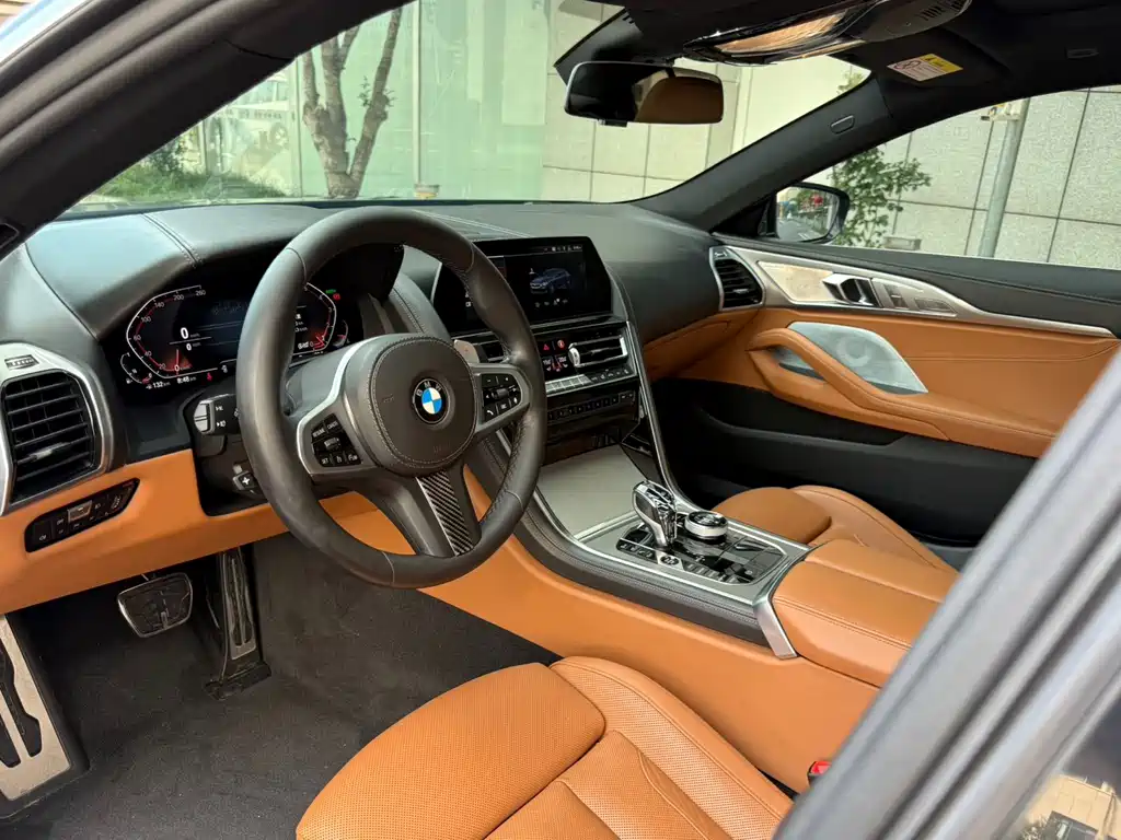 BMW 8 Series — миниатюра 6
