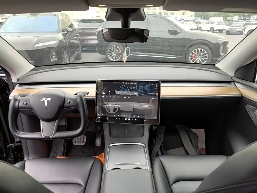 Tesla Model Y — миниатюра 10