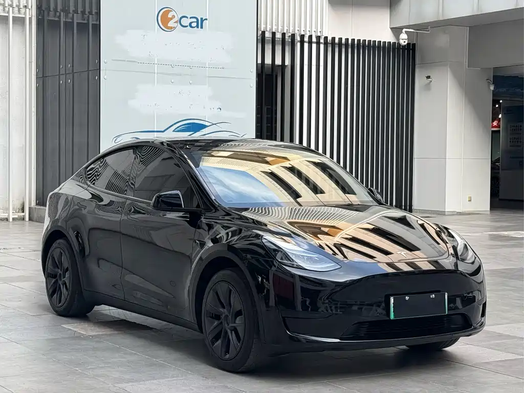 Tesla Model Y — миниатюра 3