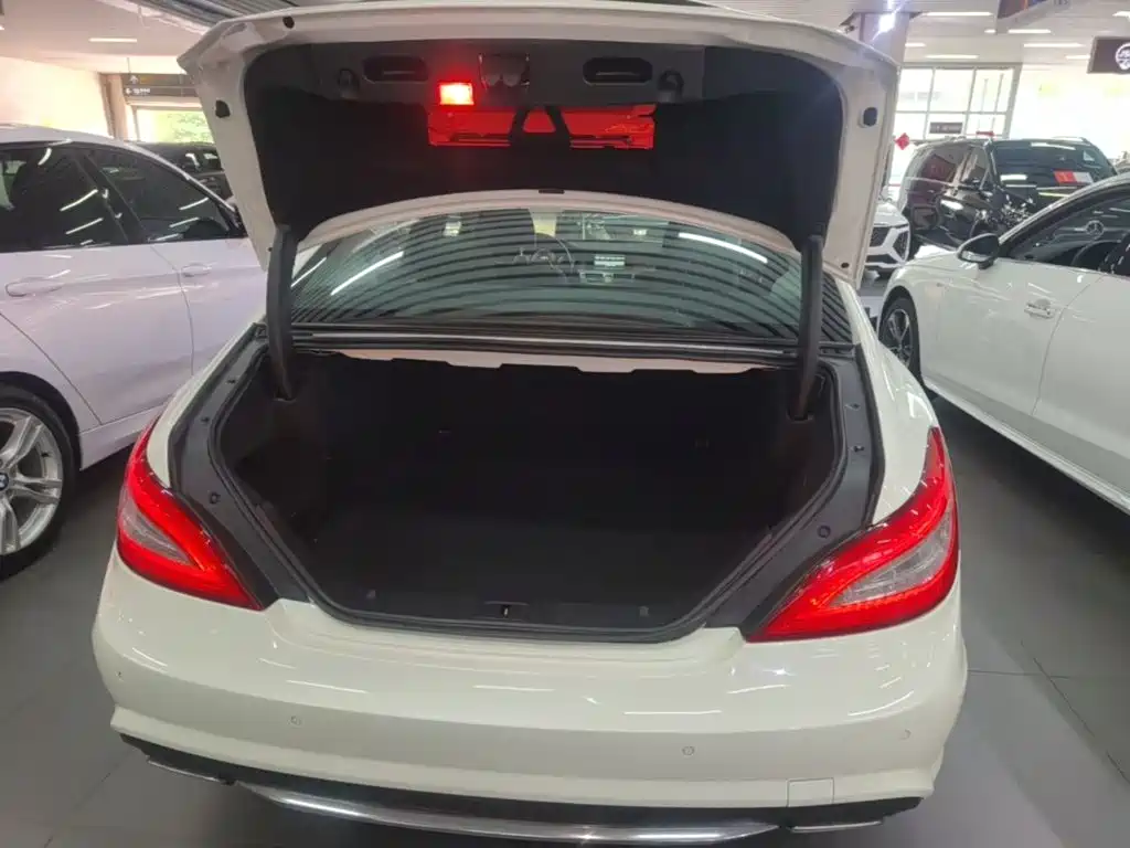 Mercedes-Benz CLS — миниатюра 19