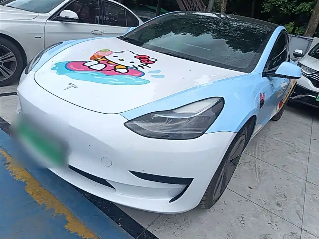 Tesla Model 3 2022