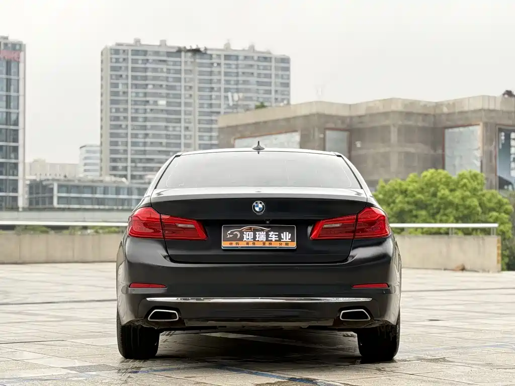BMW 5 Series 5 2020 525Li Luxury