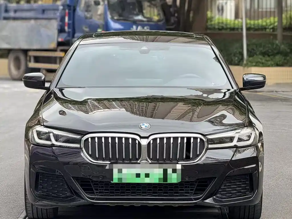BMW 5 Series New Energy 2021