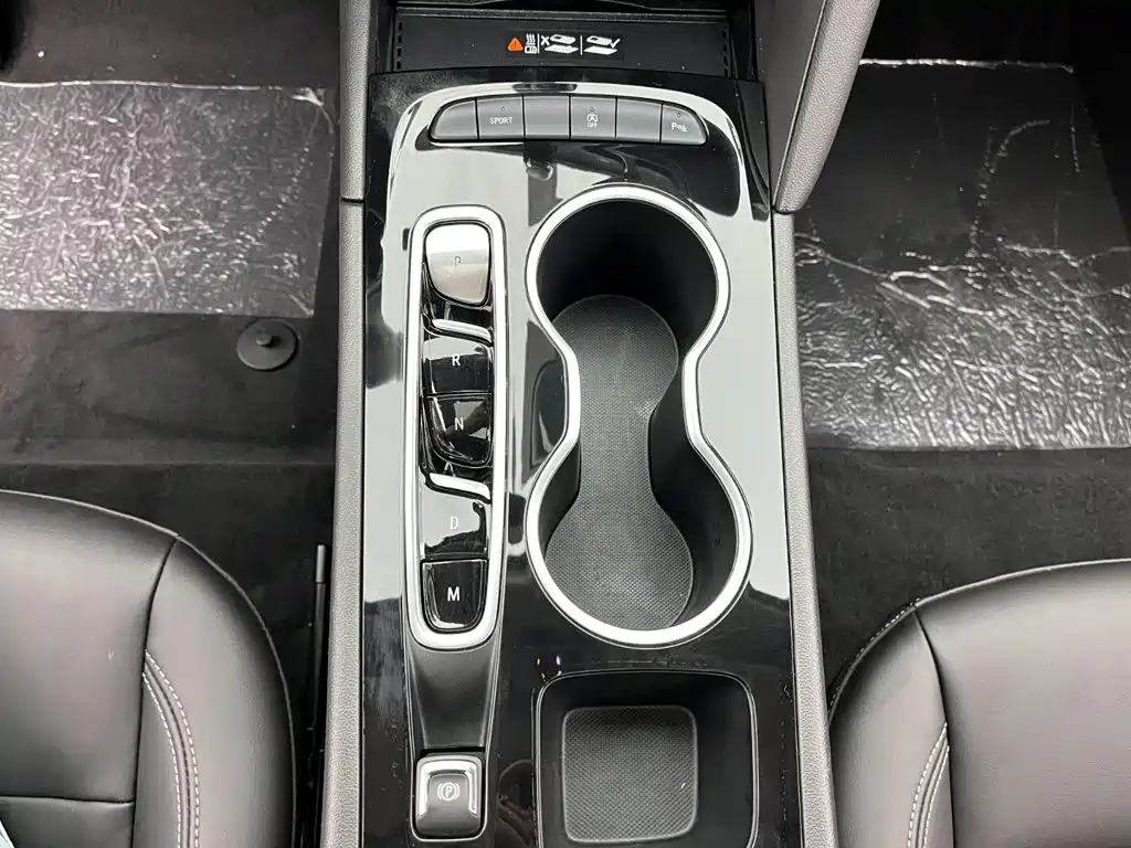 Buick Regal — миниатюра 13