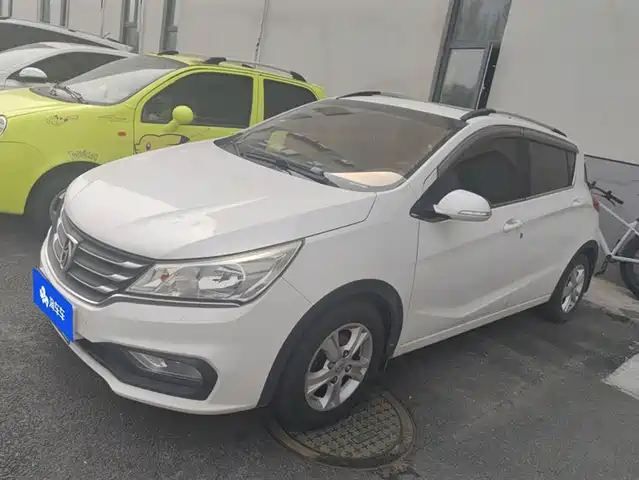 BAOJUN 310