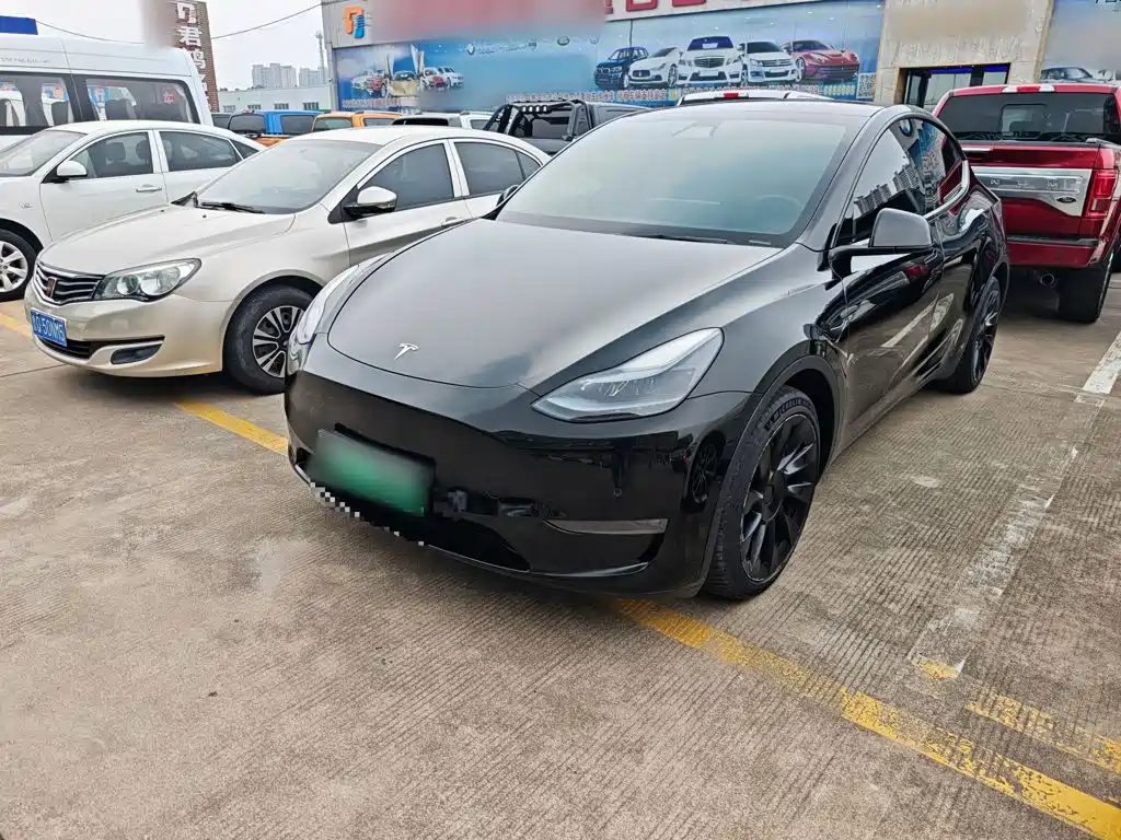 Tesla Model Y — миниатюра 26