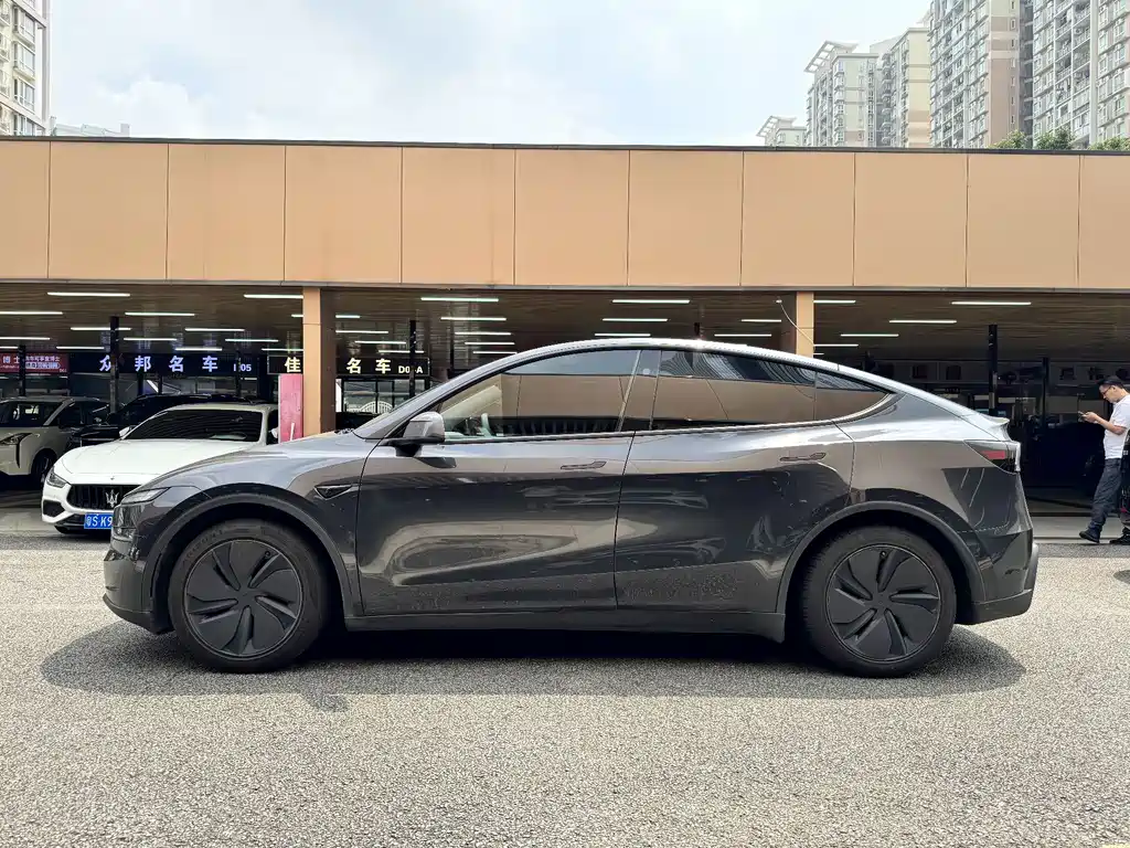 Tesla Model Y — миниатюра 3