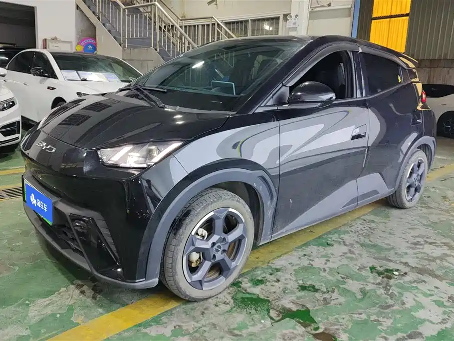 Byd Seagull 2023