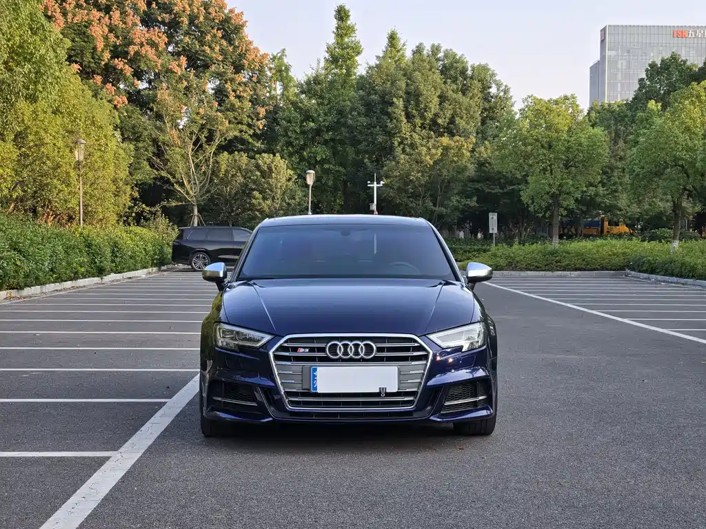 Audi S3 — миниатюра 2