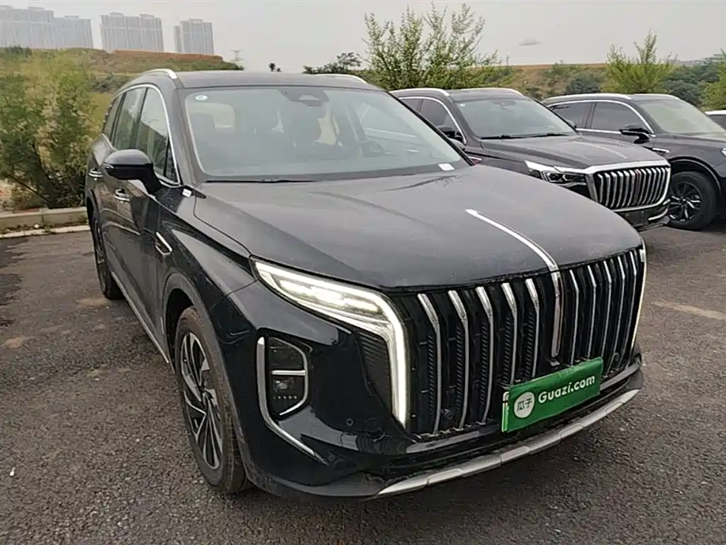 Hongqi HS7 PHEV 2024 2.0T PHEV 6 мест
