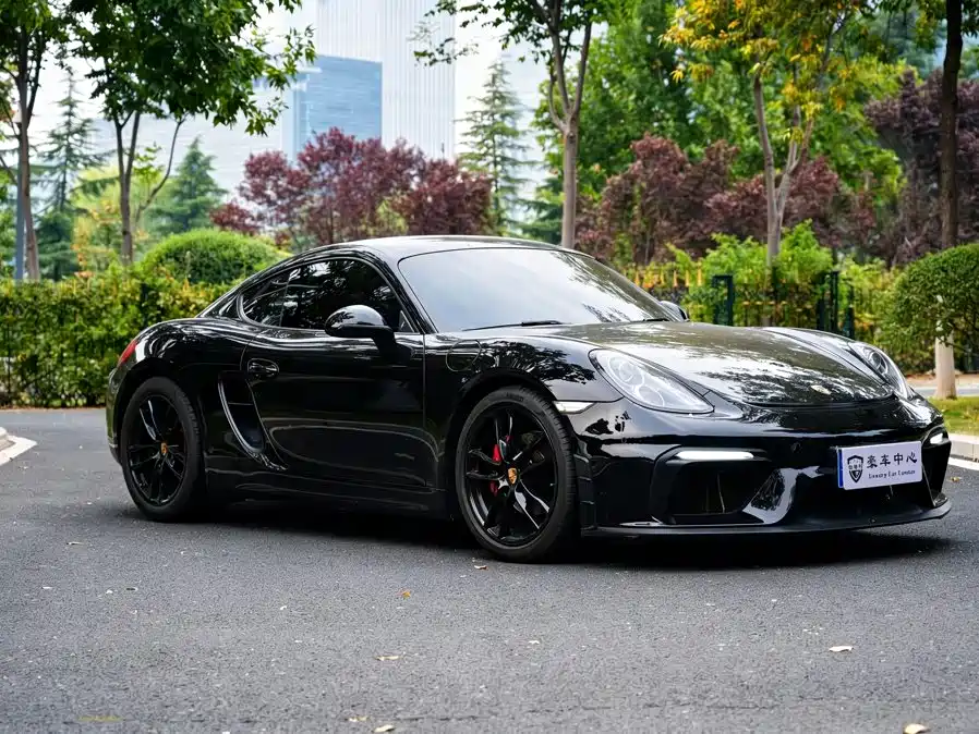 Porsche Cayman — миниатюра 5