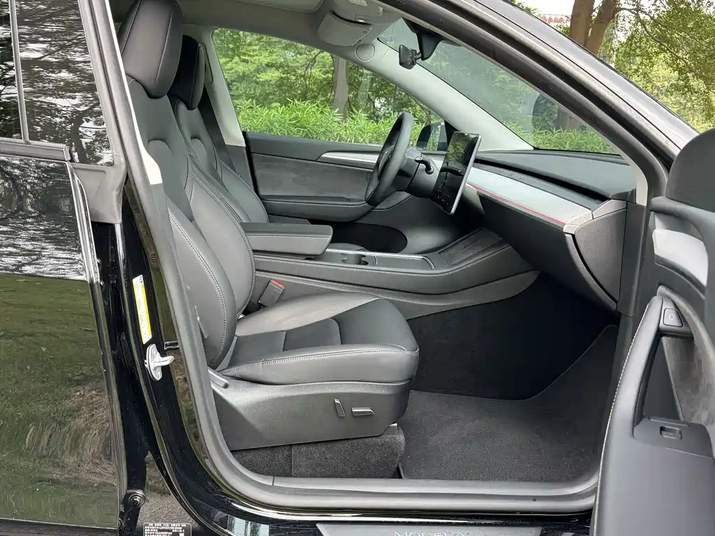Tesla Model Y — миниатюра 10