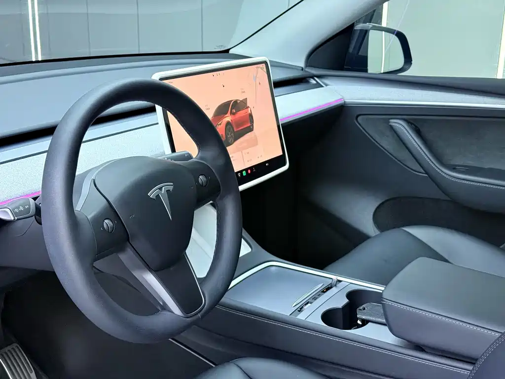 Tesla Model Y — миниатюра 5