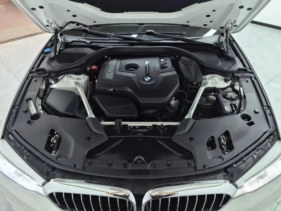 BMW 5 Series 5 2020 530Li Premium Luxury