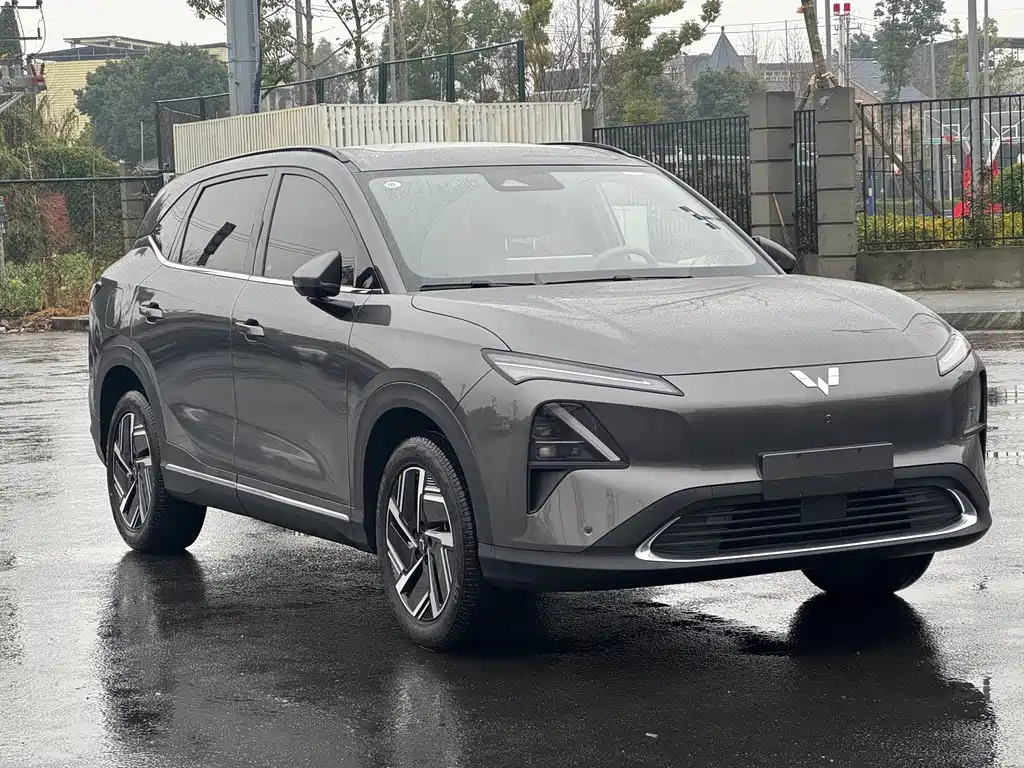 BAOJUN XIANGJING