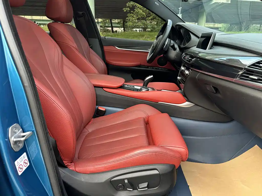 BMW X6 — миниатюра 8