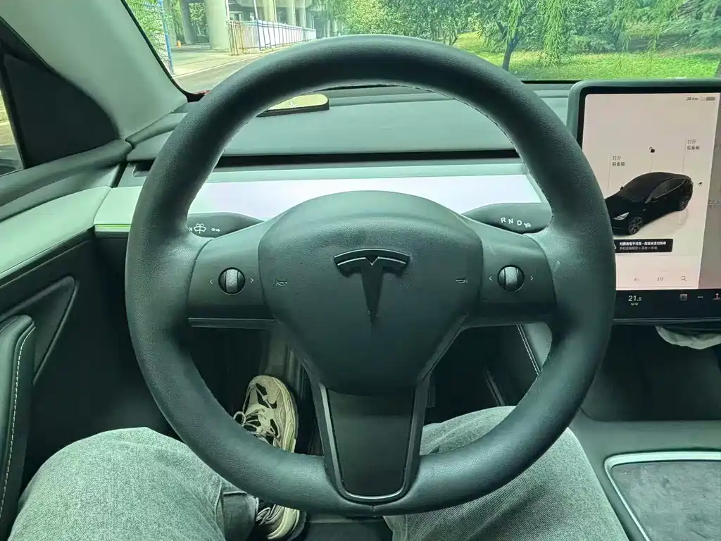 Tesla Model Y — миниатюра 11