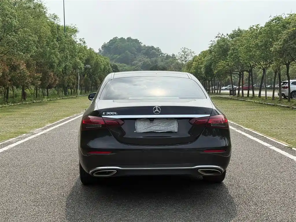 Mercedes-Benz E-Class E 2021 E 300 L Luxury