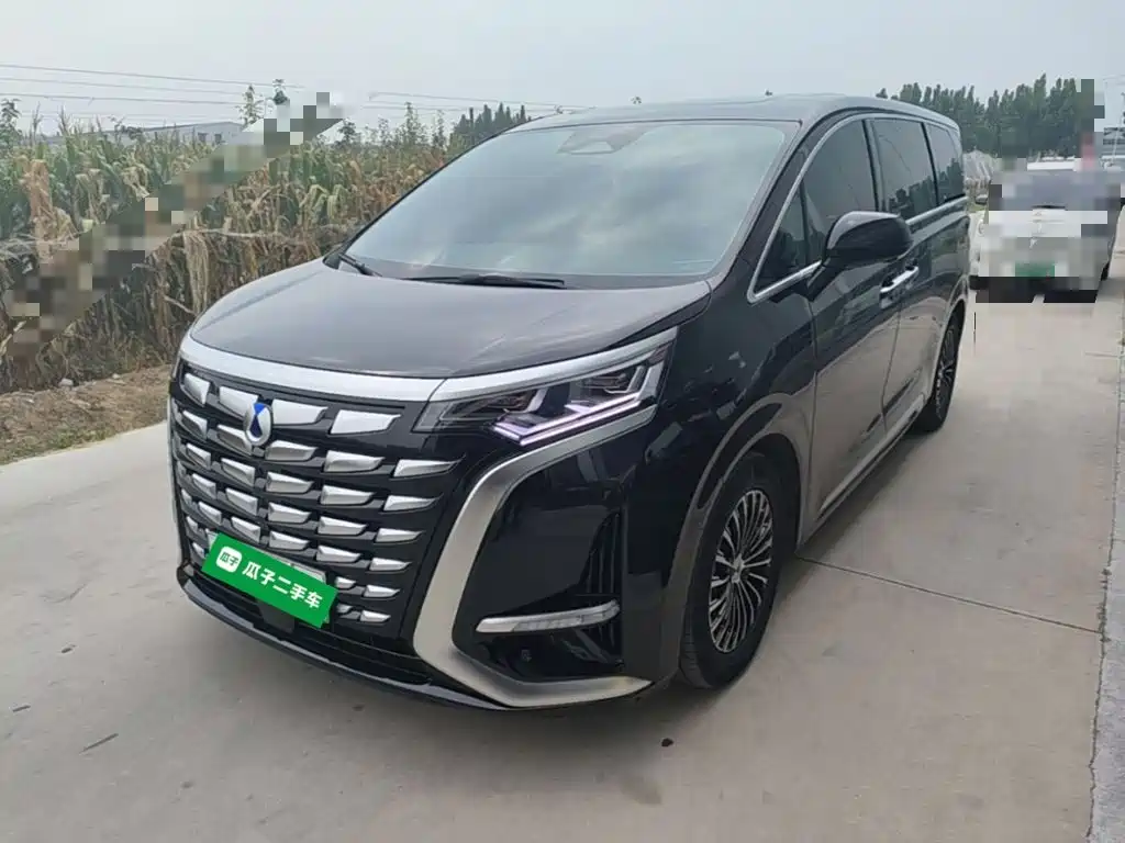 Denza D9
