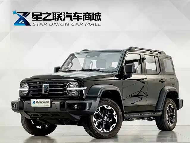 2025 TANK 300