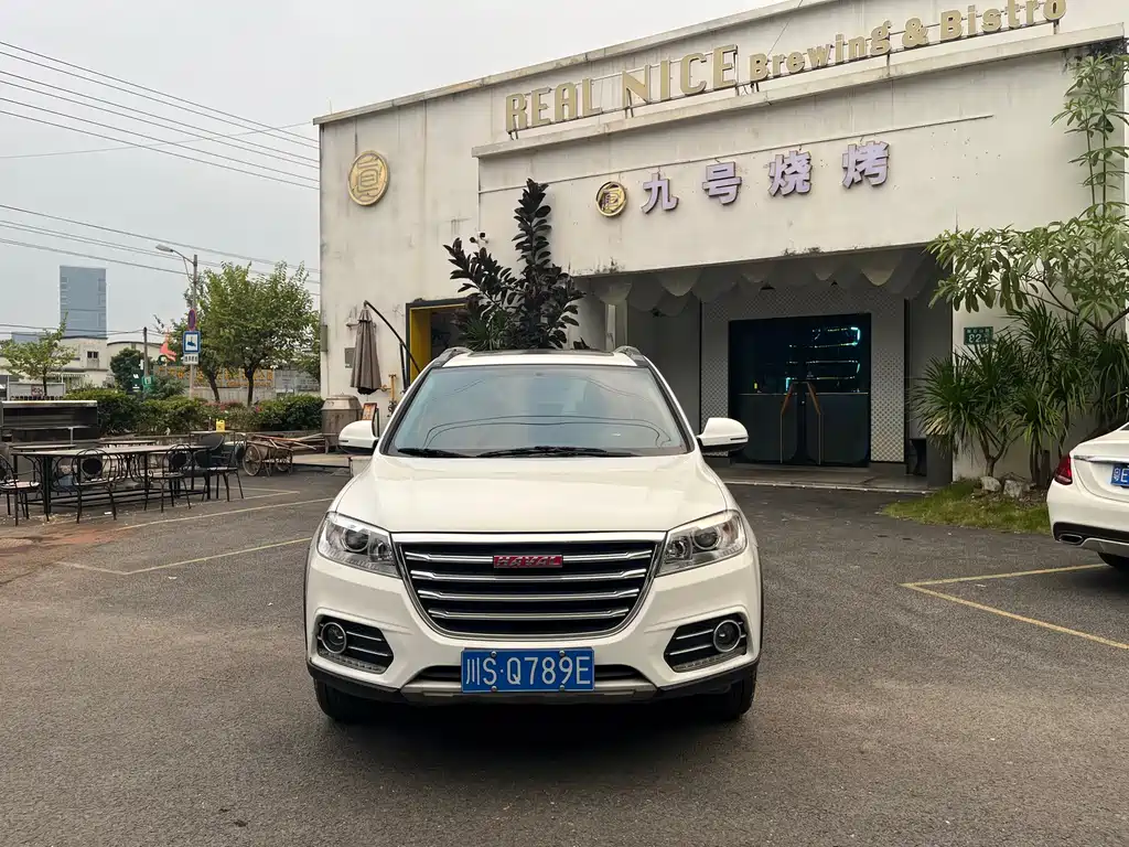 Haval H6 — миниатюра 2