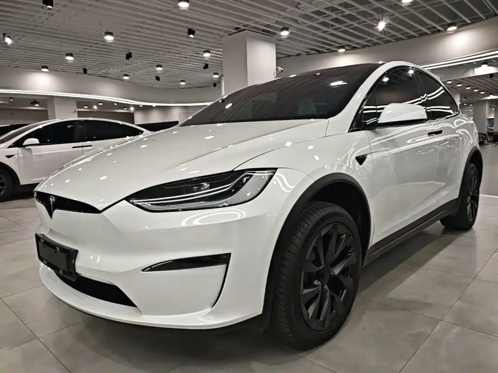 Tesla Model X — миниатюра 2