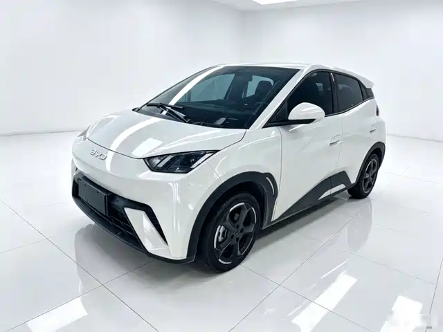 2024 BYD Seagull