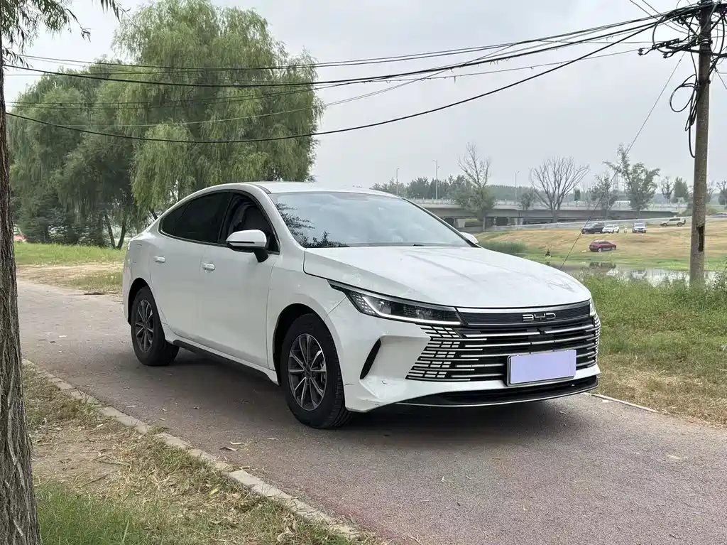 BYD Destroyer 05 — миниатюра 3
