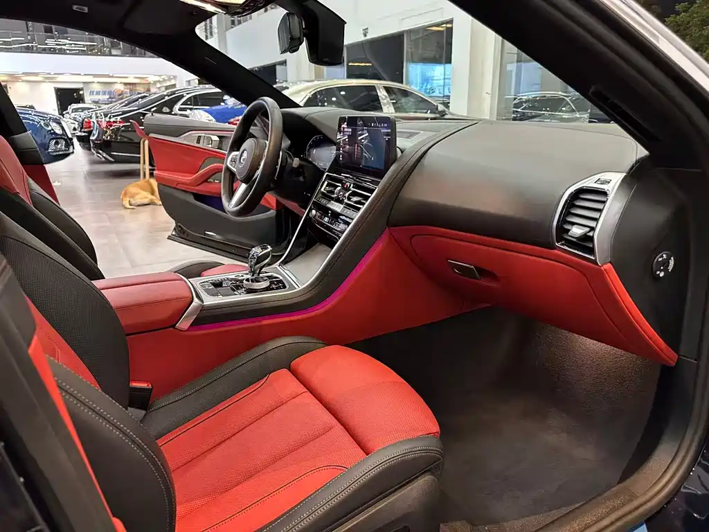 BMW 8 Series — миниатюра 9