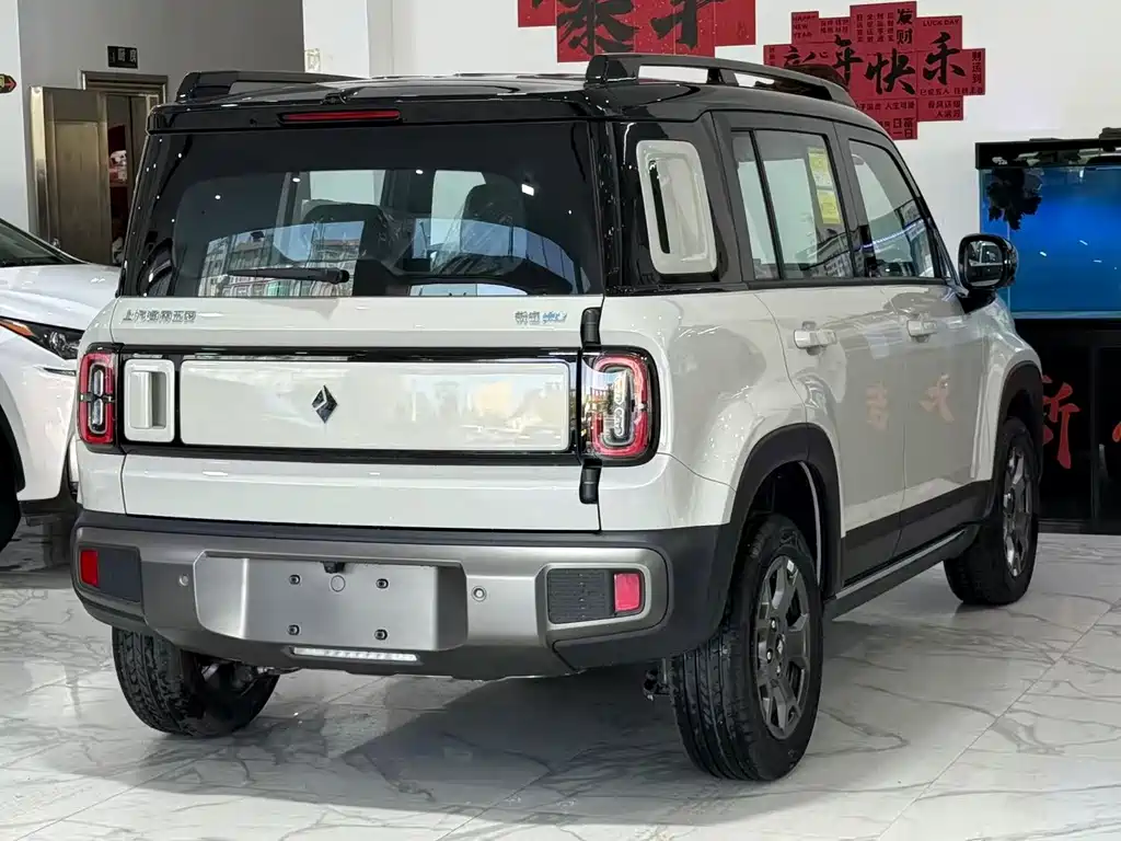 BAOJUN YUE ALSO PLUS