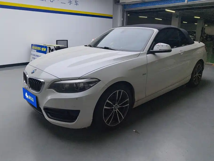 BMW 2 Series (Import)