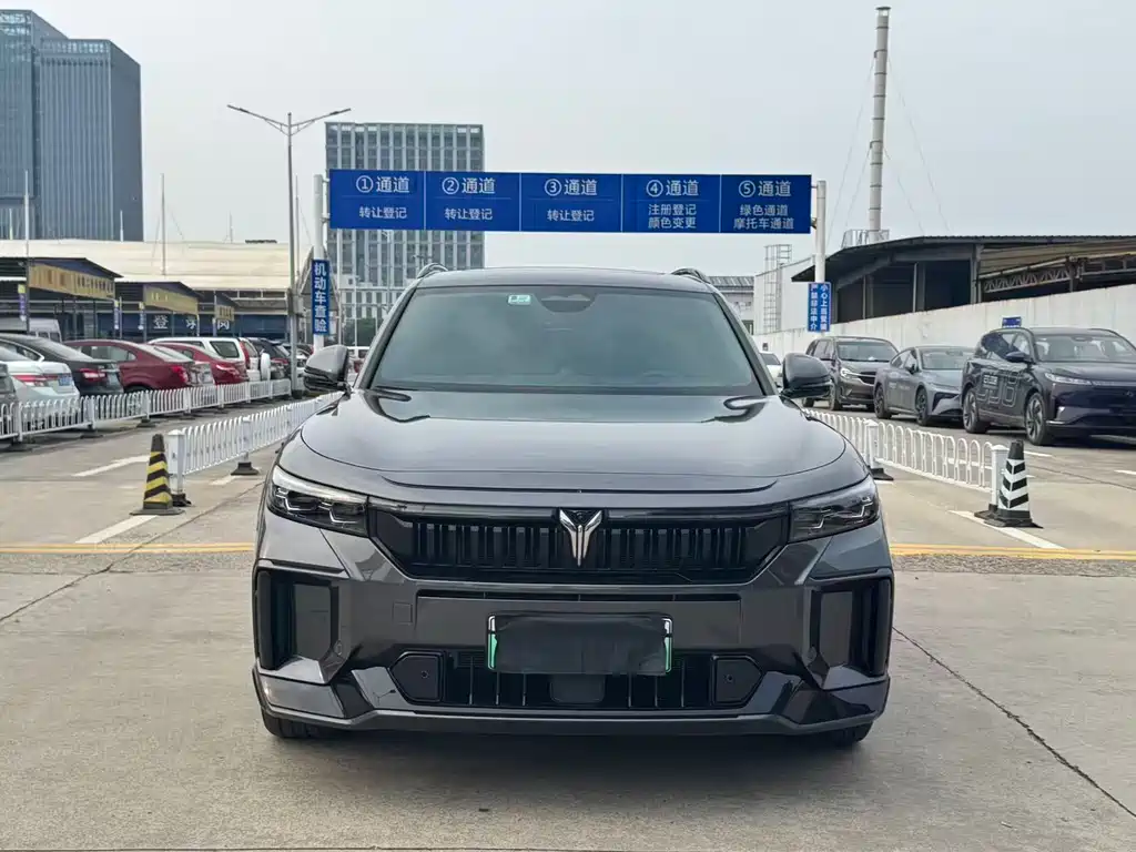Voyah Free 2025 318 259km