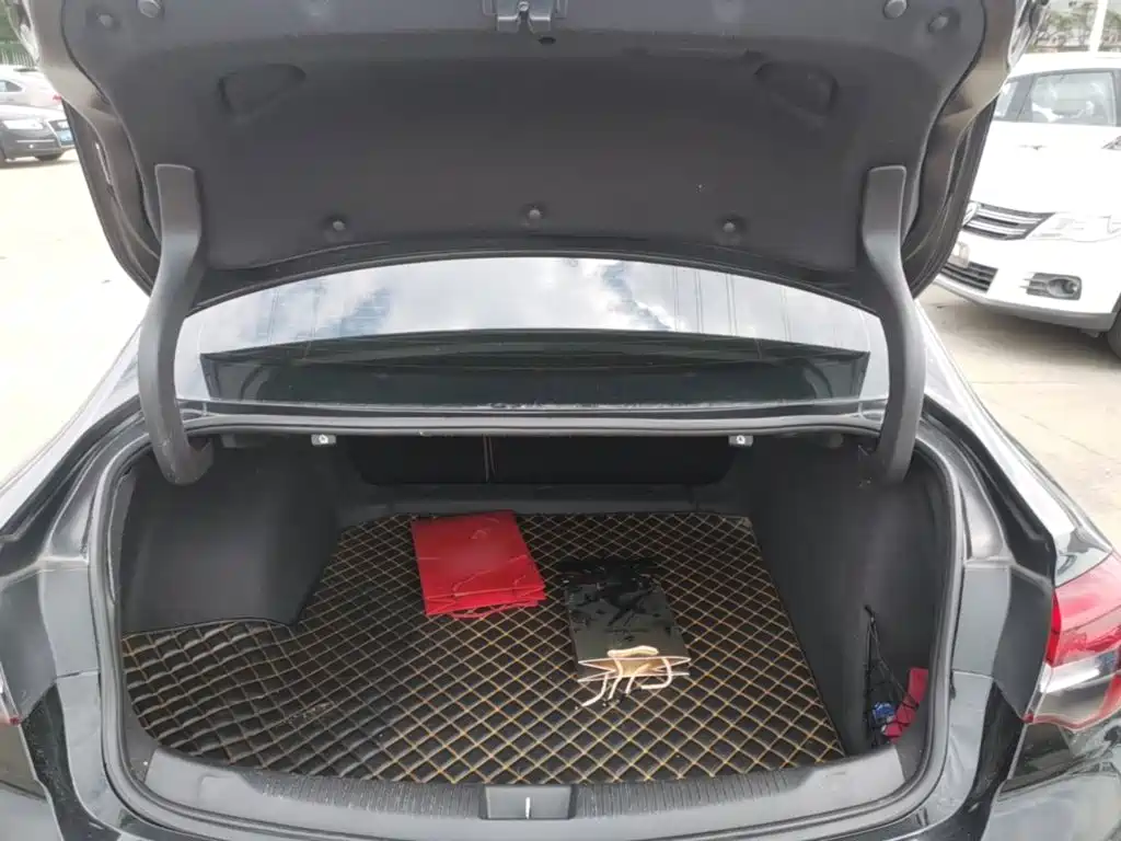 Buick Regal — миниатюра 19