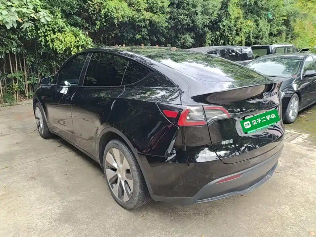 Tesla Model Y — миниатюра 5