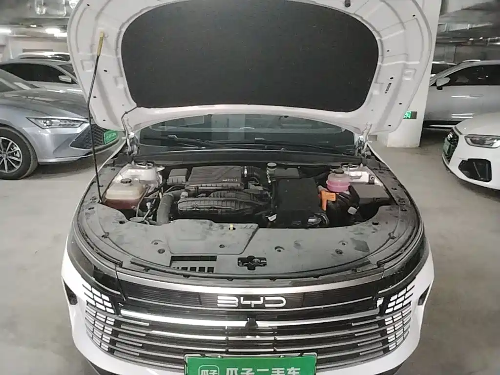 BYD Destroyer 05 — миниатюра 16