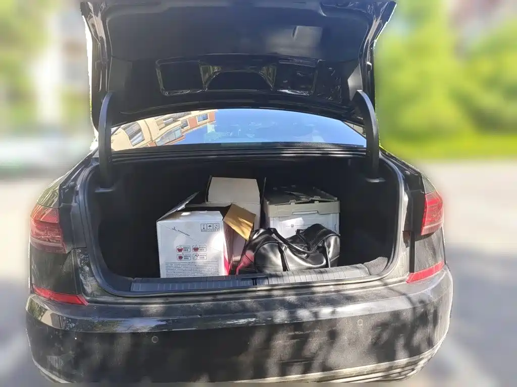 Volkswagen Passat — миниатюра 10