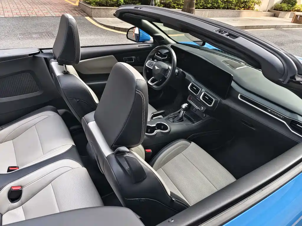 Ford Mustang — миниатюра 8