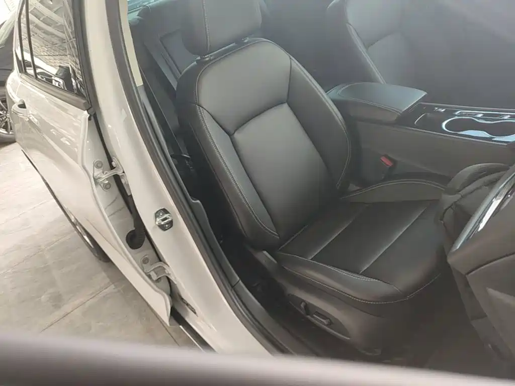 Buick Regal — миниатюра 25