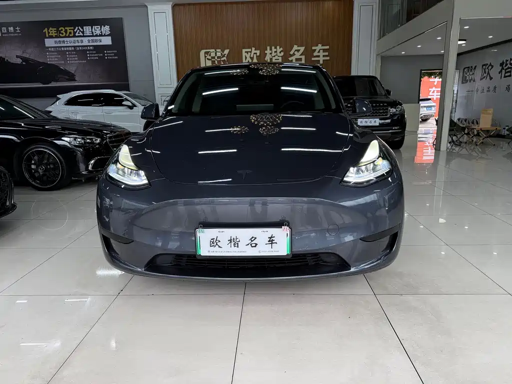 Tesla Model Y — миниатюра 2