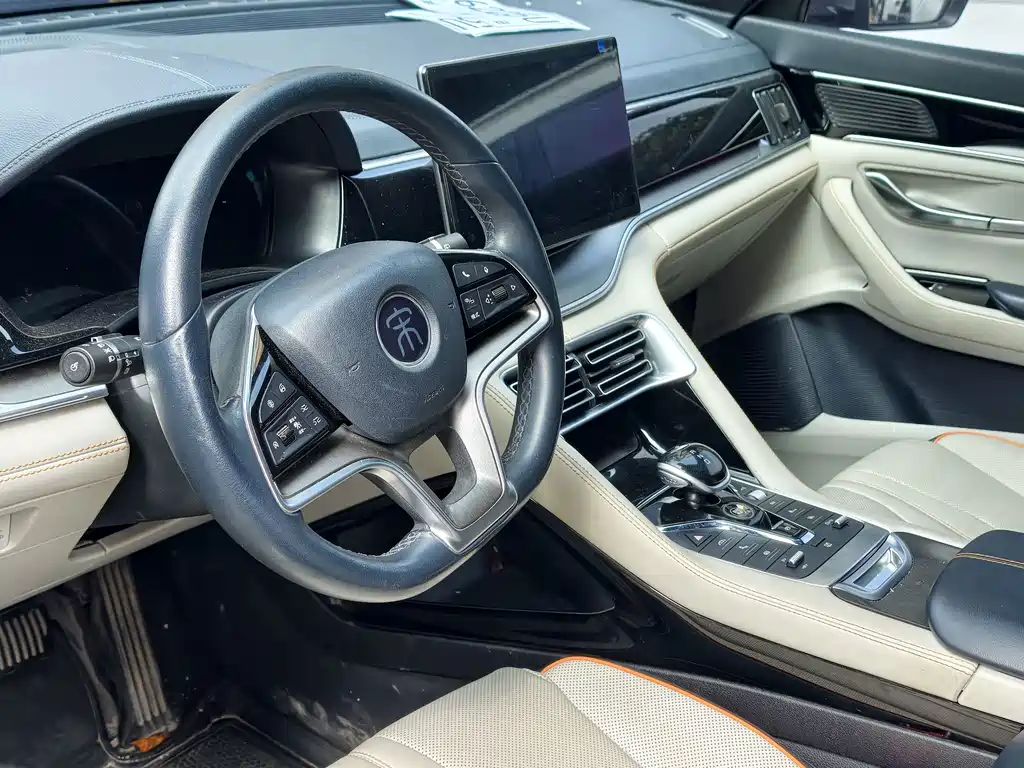 BYD PLUS New Energy — миниатюра 4